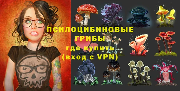 твердый Белоозёрский