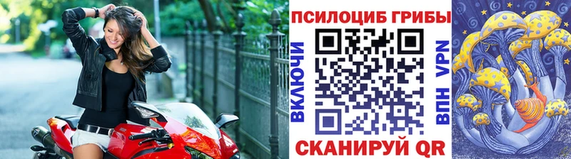 Псилоцибиновые грибы Psilocybe  Купить закладки  Собинка 